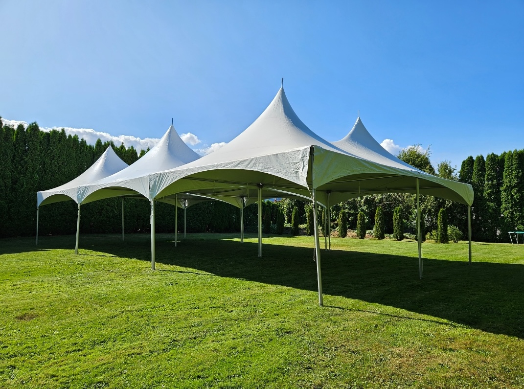 Screenshot_20240325_123542_Gallery